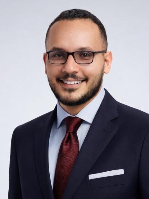 د. محمد محمد الششتاوي